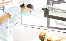 ��ɫ����